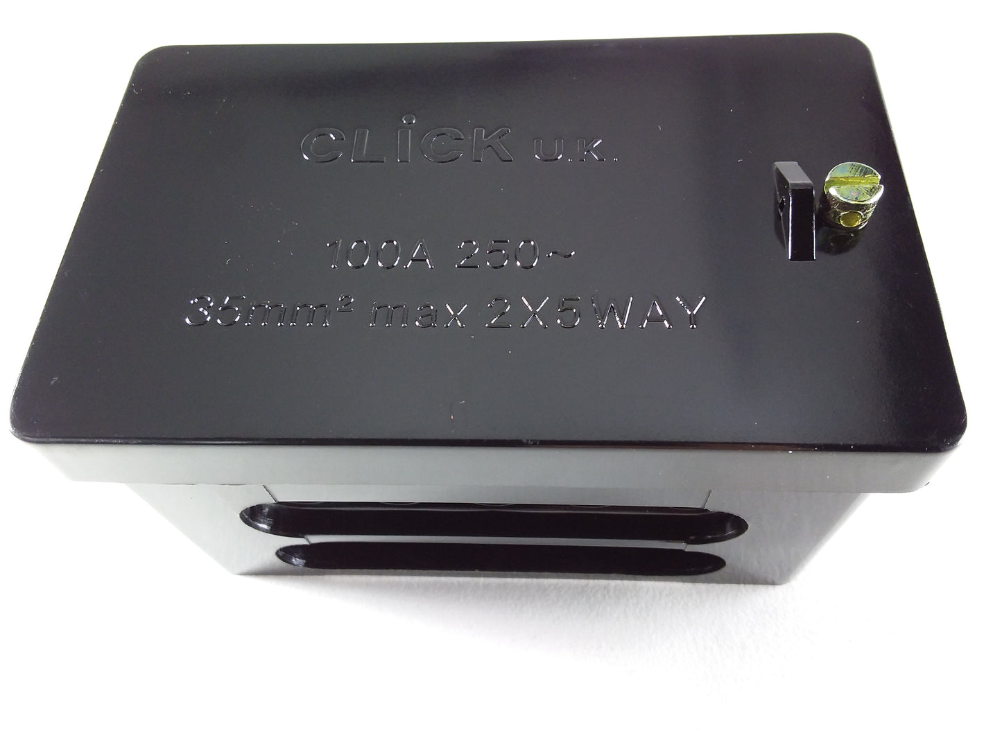 A black 100Amp double pole block electrical connector with branding visible on the top surface.