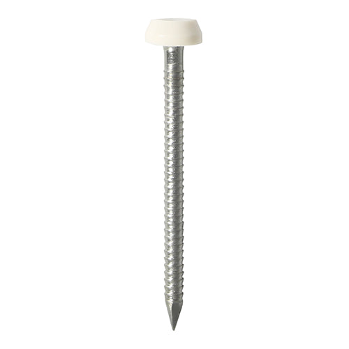 40mm Polymer head pin white Qty 50