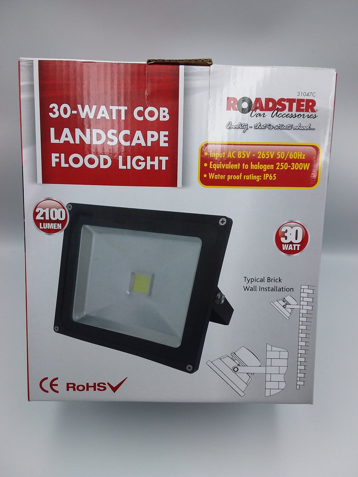 30W LED flood light (IP65)