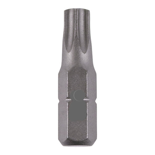 T30 Torx driver bits (Qty 1)